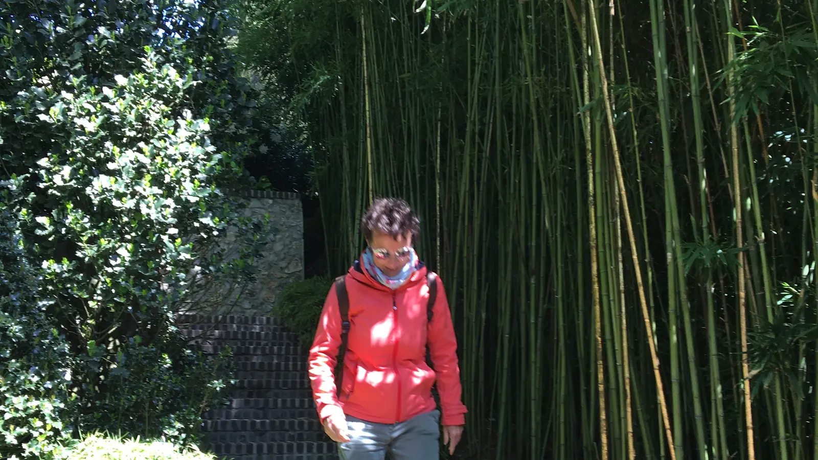 Sylvie Gonidec descend un escalier bordé de bambous